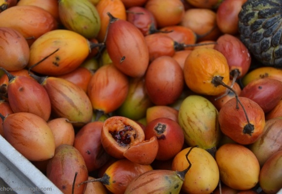 tree tomato