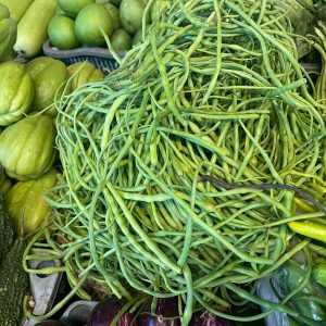 Mogri – A Lesser Known Winter Vegetable