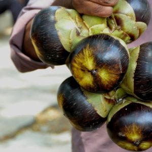 Ice Apple – Nungu Benefits – A Summer Superfood